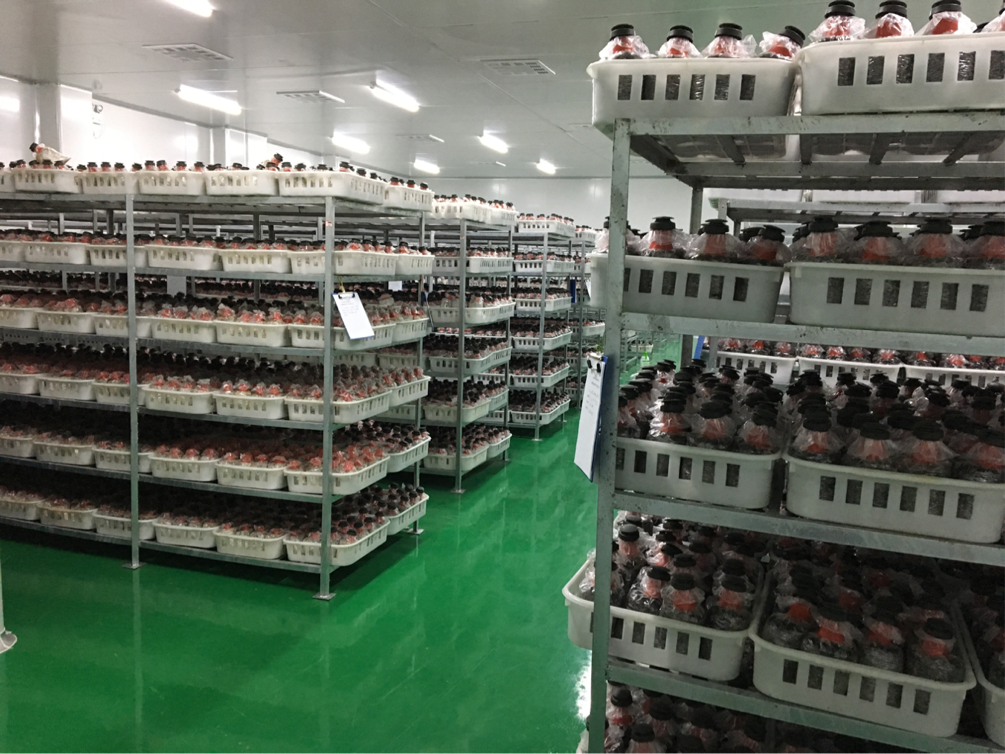 南宫·NG(中国)电子游戏官网